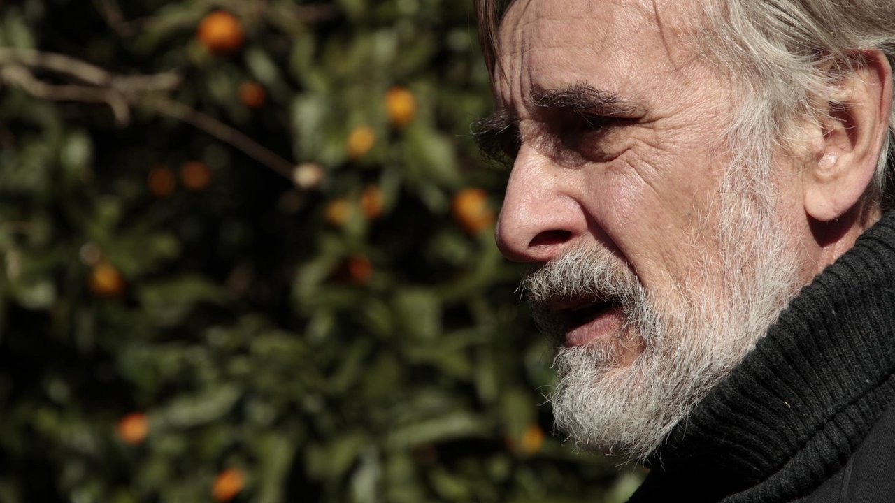 دانلود فیلم Tangerines 2013