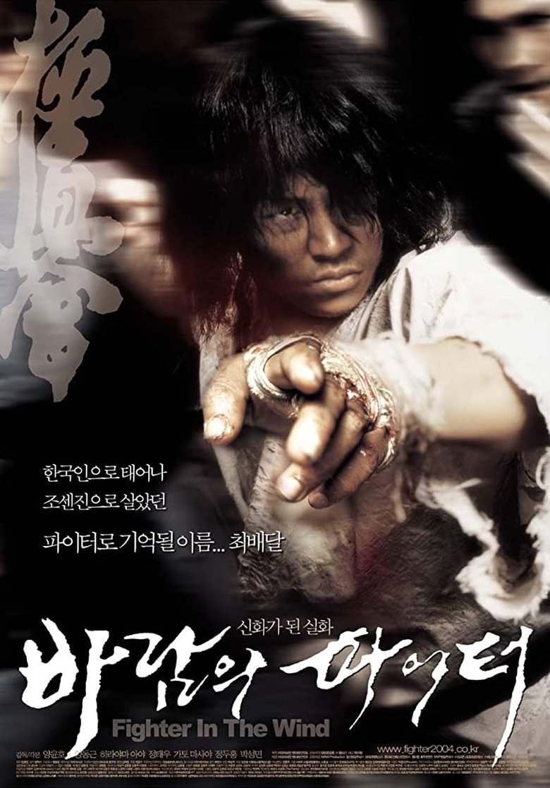 دانلود فیلم Fighter in the Wind 2004