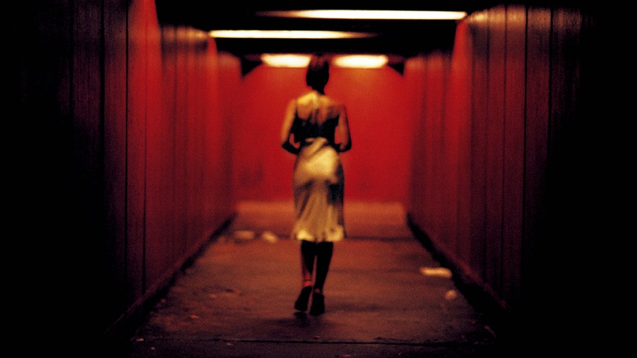 دانلود فیلم Irreversible 2002