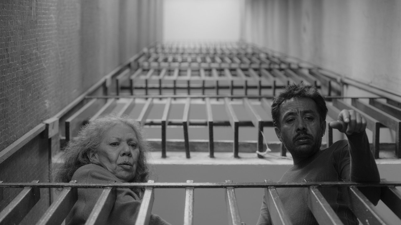 دانلود فیلم No nos moverán 2024